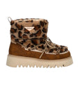 MELROSE SNOW LEO RF2H0022S BROWN 012 W