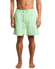 בגד ים מיינסטרים 251925 GREEN