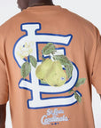 MLB FRUIT GRPHC BP TEE STLCAR DSA 60596318