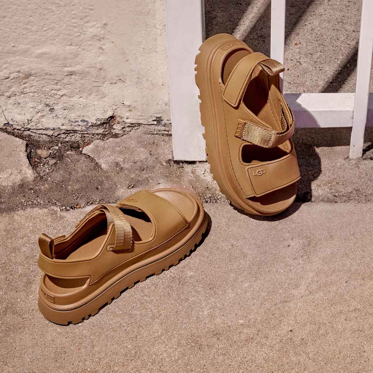 1152685 BRWN גולדנגלואו חום