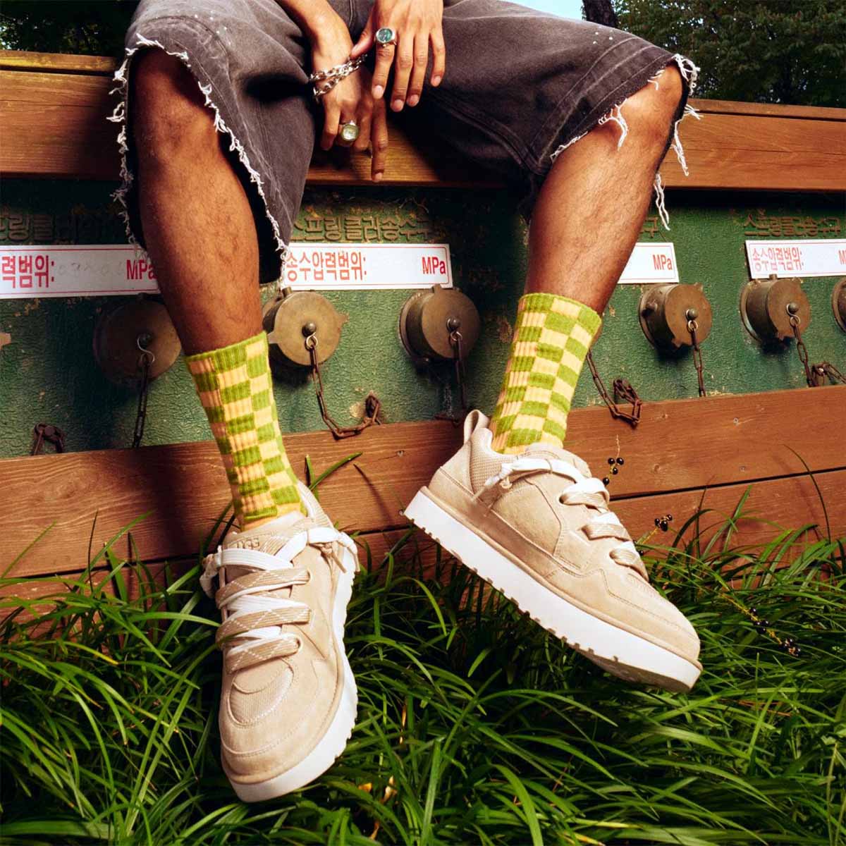 1169493 MDSD לואמל בז