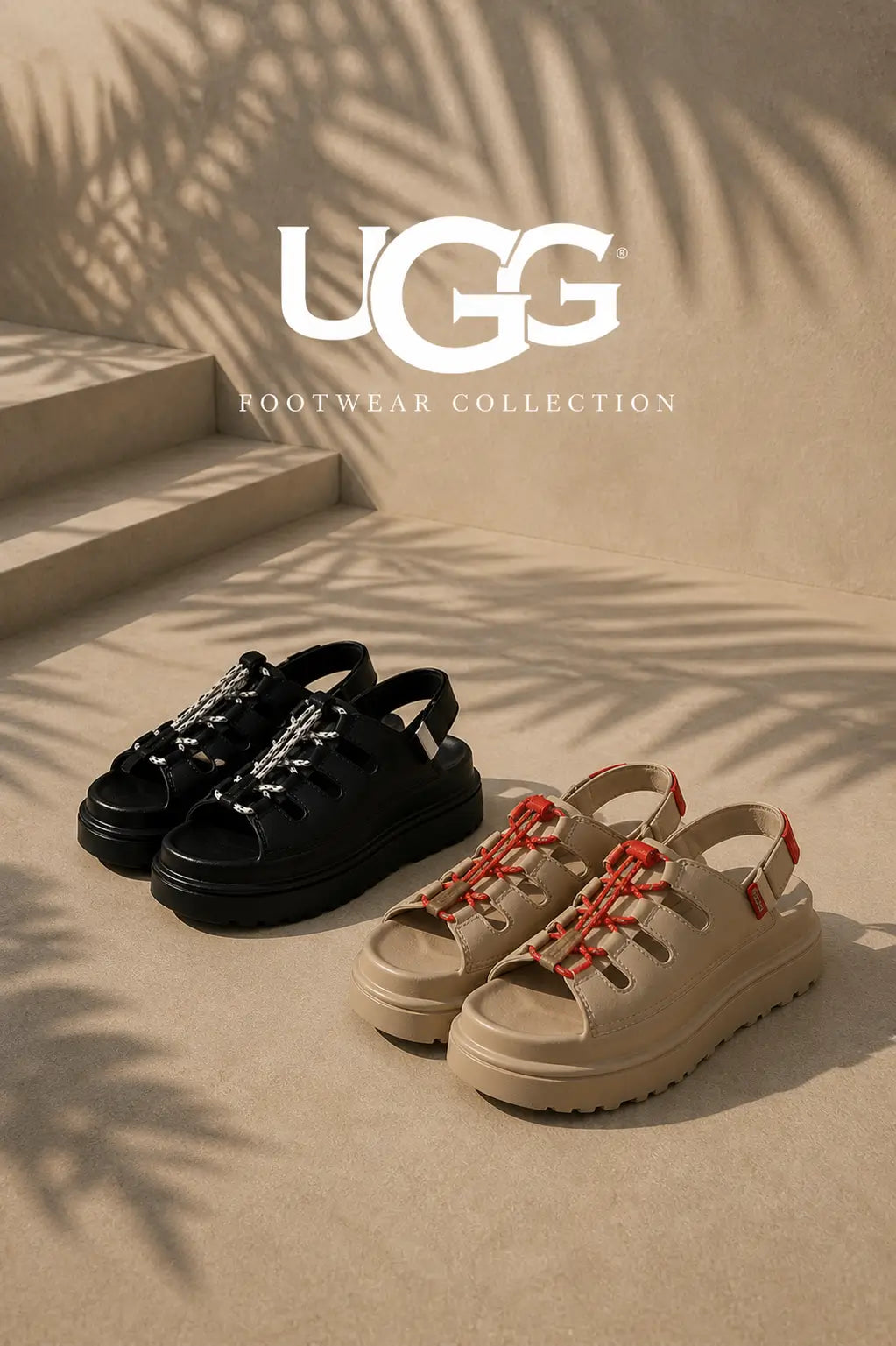 Collection Image