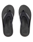 CJ9039 Fanning + Black Gum